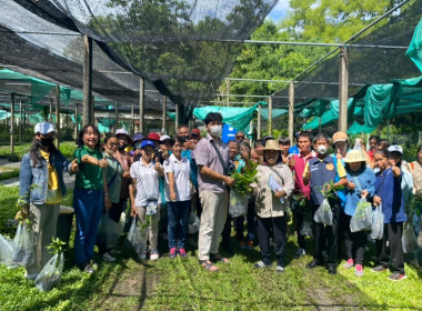 โครงการส่งเสริมและพัฒนาอาชีพเพื่อแก้ไขปัญหาที่ดินทำกินของเกษตรกรประจำปีงบประมาณ พ.ศ.2567 ... Image 12